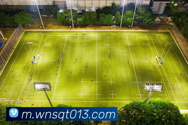 未来规划